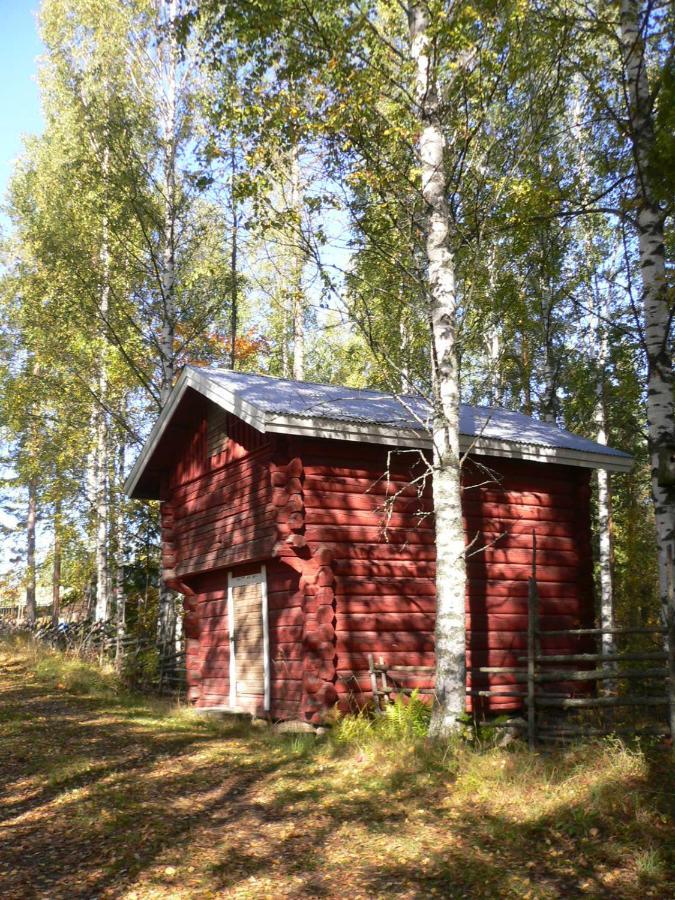Vanha-Paelsilae Lakeside Farm Kuhmoinen Esterno foto