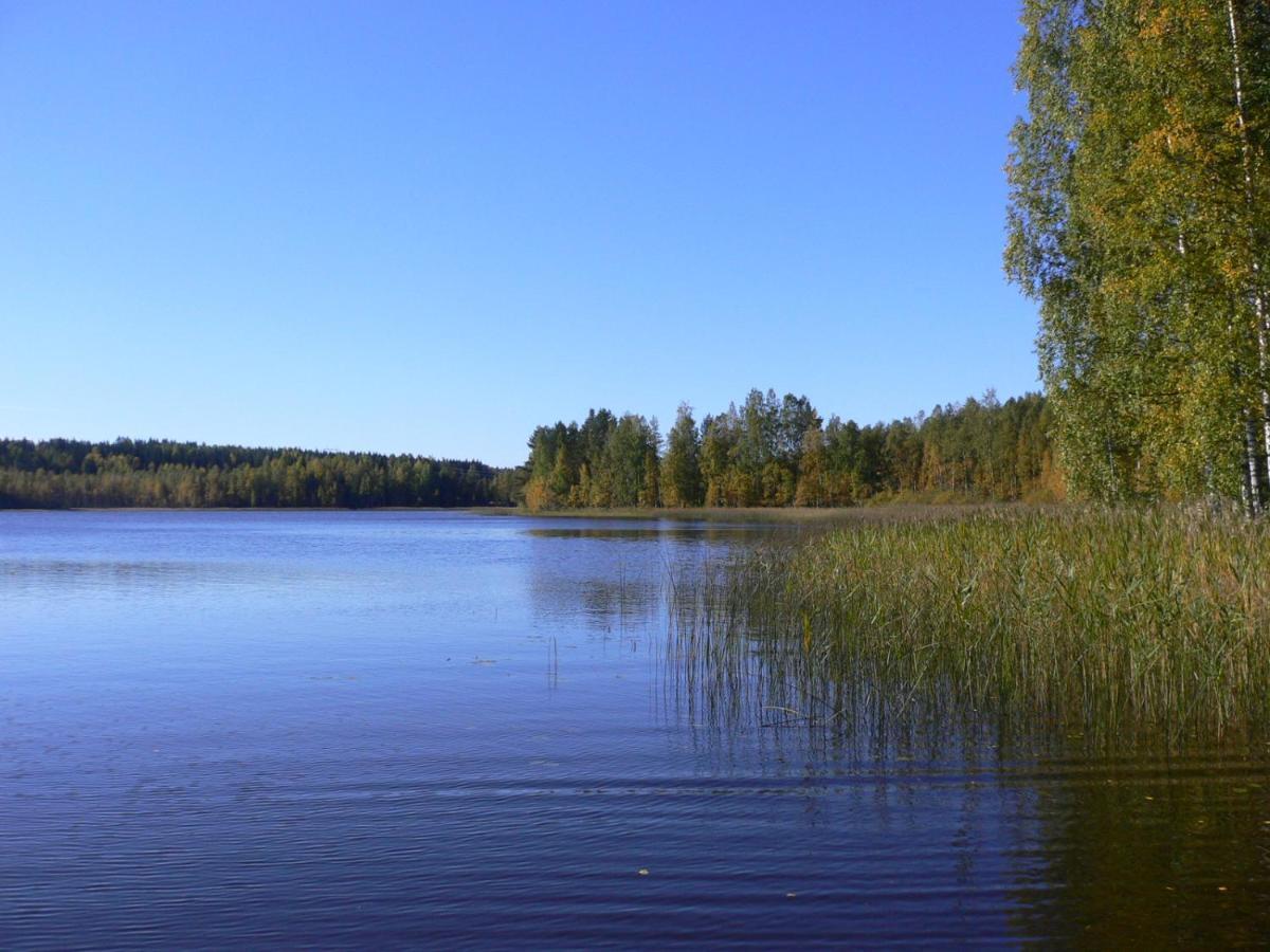 Vanha-Paelsilae Lakeside Farm Kuhmoinen Esterno foto